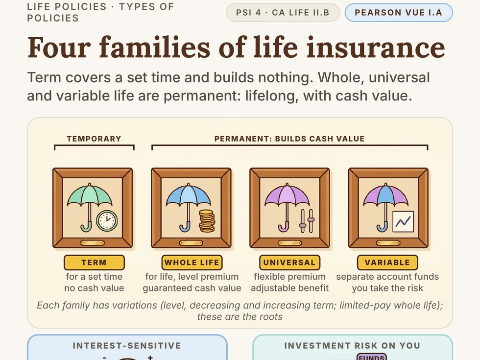 Book 1, page 12: the four families of life insurance, term, whole, universal and variable, drawn side by side