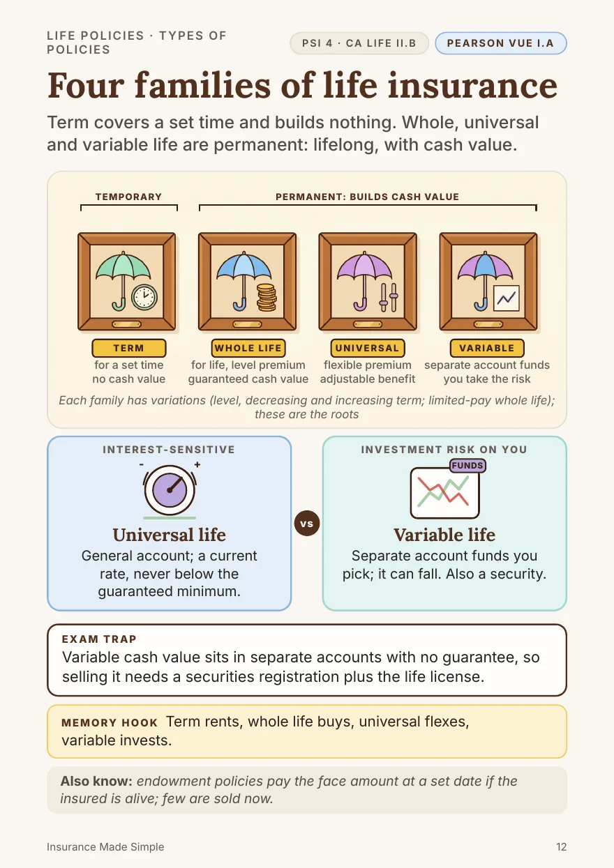 Book 1, page 12: the four families of life insurance, one idea on one page